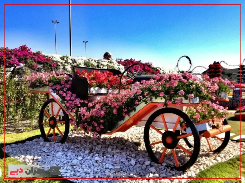 Dubai flower garden flower car - ماشی گل باغ گل دبی