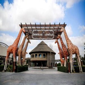 بلیط پارک سافاری دبی - Entrance to Dubai Safari Park and Giraffes